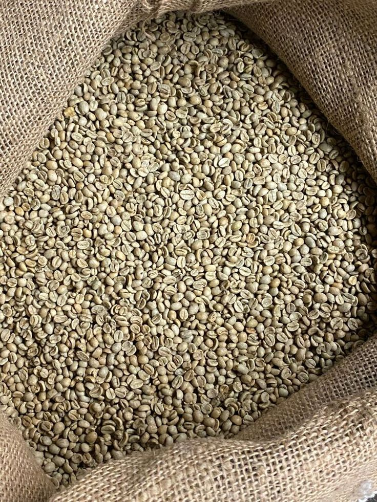 Green Coffee Beans