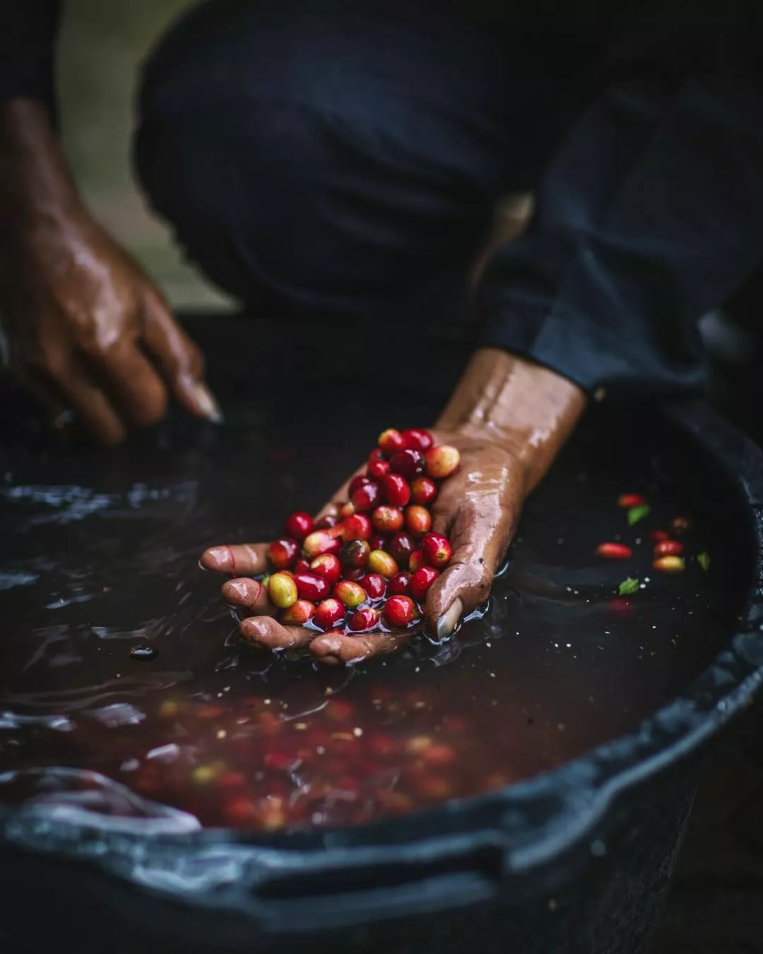 East Africa Sourcing