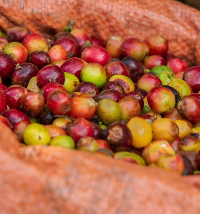 East Africa Sourcing Map